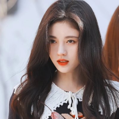 面包与玫瑰